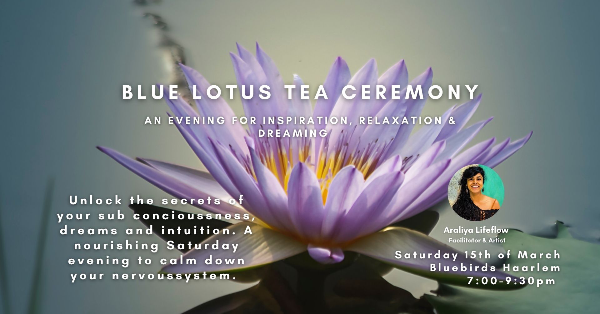 Blue Lotus Tea Ceremony